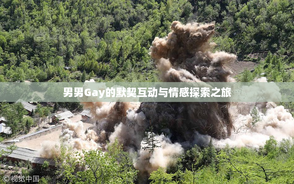 男男Gay的默契互动与情感探索之旅