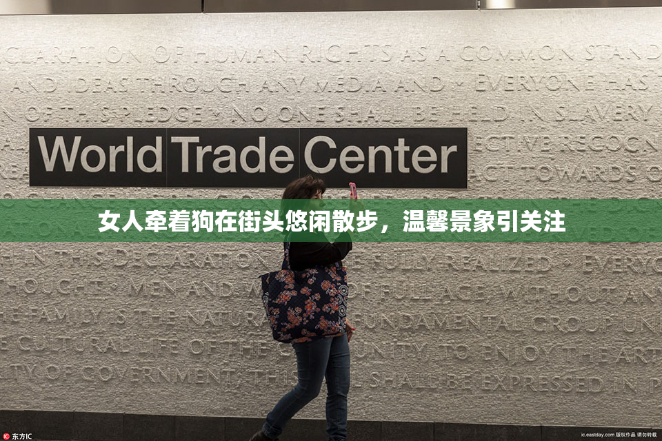 女人牵着狗在街头悠闲散步，温馨景象引关注