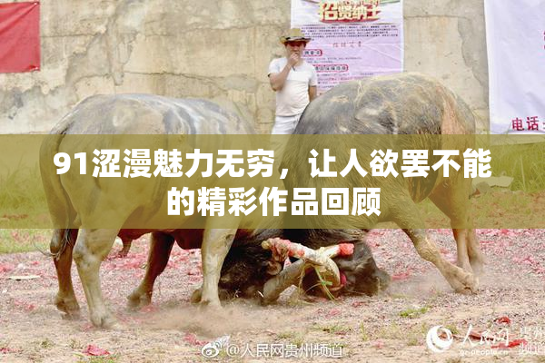 91涩漫魅力无穷，让人欲罢不能的精彩作品回顾