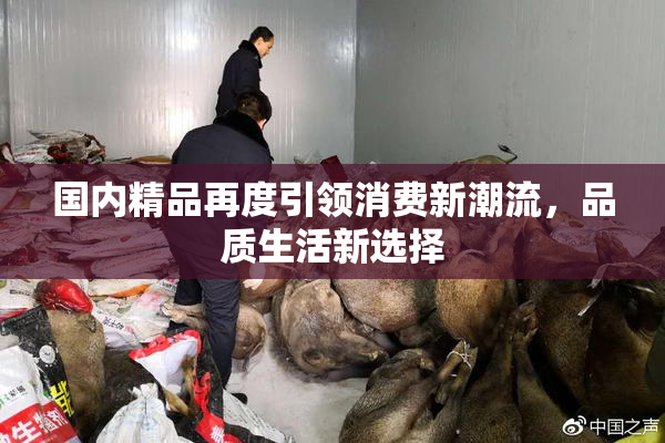 国内精品再度引领消费新潮流，品质生活新选择