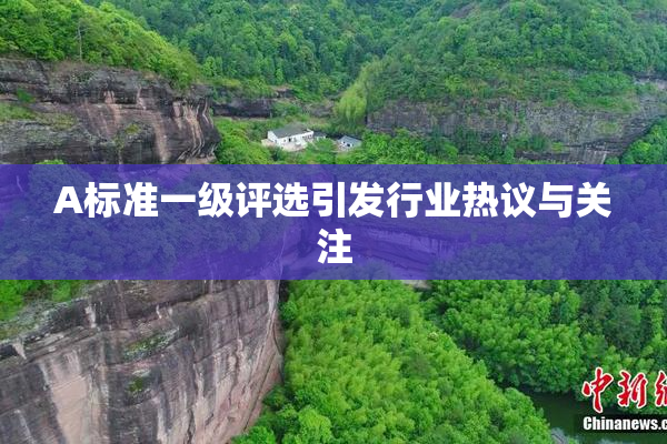 A标准一级评选引发行业热议与关注