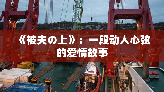 《被夫の上》：一段动人心弦的爱情故事