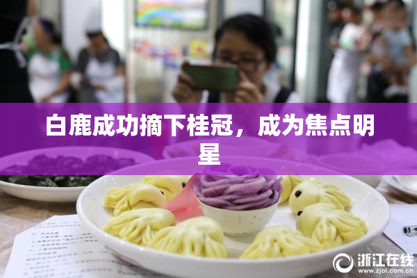 白鹿成功摘下桂冠，成为焦点明星