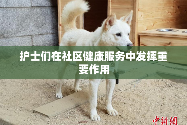 护士们在社区健康服务中发挥重要作用