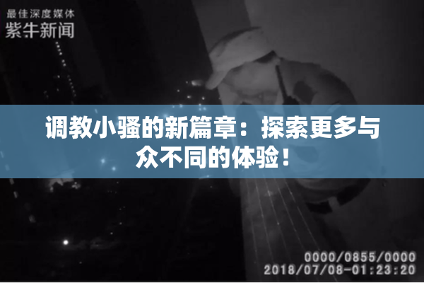 调教小骚的新篇章：探索更多与众不同的体验！