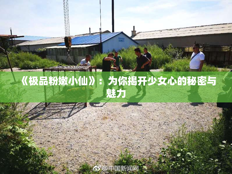《极品粉嫩小仙》：为你揭开少女心的秘密与魅力