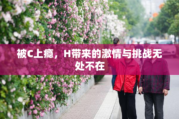 被C上瘾，H带来的激情与挑战无处不在