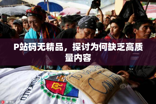 P站码无精品，探讨为何缺乏高质量内容