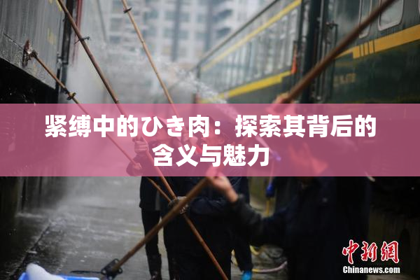 紧缚中的ひき肉：探索其背后的含义与魅力
