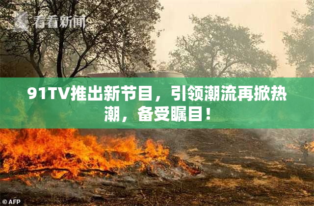 91TV推出新节目，引领潮流再掀热潮，备受瞩目！