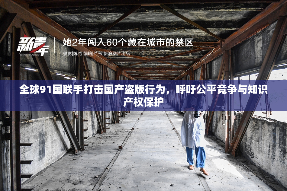 全球91国联手打击国产盗版行为，呼吁公平竞争与知识产权保护