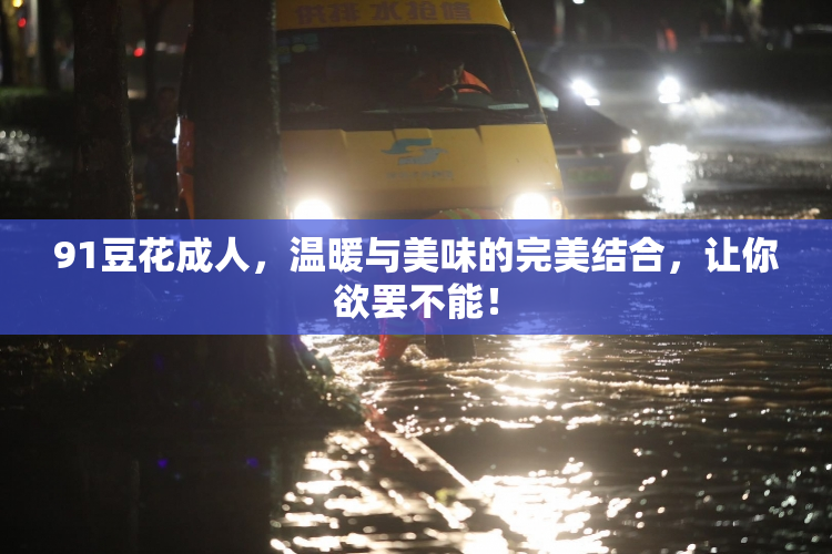 91豆花成人，温暖与美味的完美结合，让你欲罢不能！