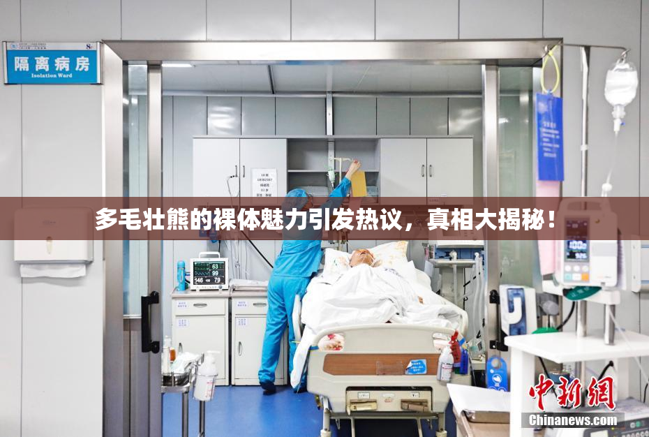 多毛壮熊的裸体魅力引发热议，真相大揭秘！