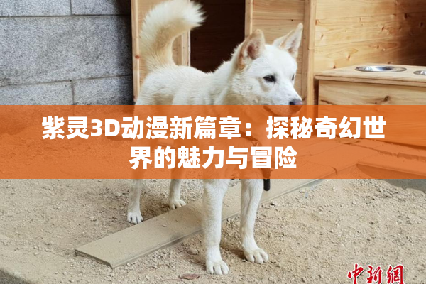 紫灵3D动漫新篇章：探秘奇幻世界的魅力与冒险