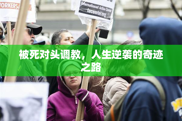 被死对头调教，人生逆袭的奇迹之路