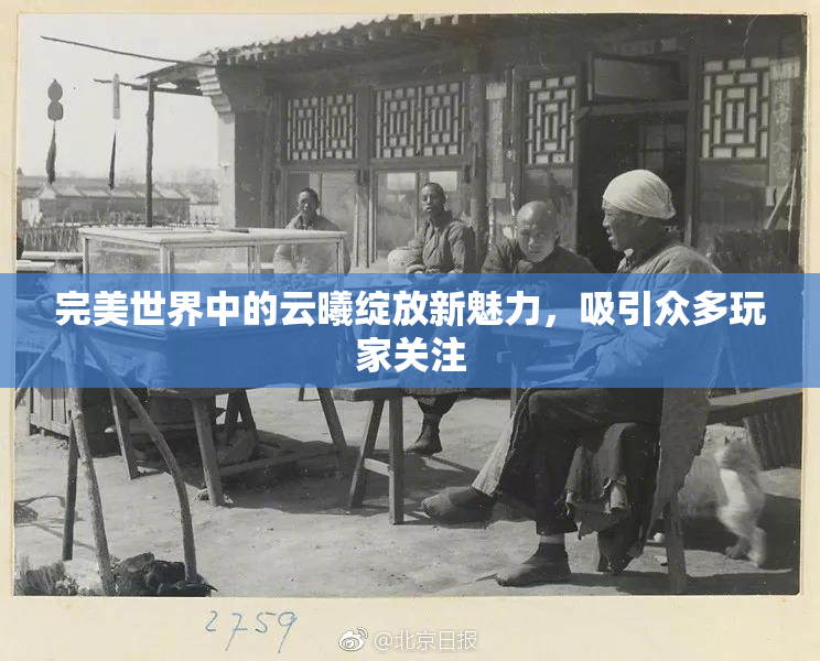 完美世界中的云曦绽放新魅力，吸引众多玩家关注