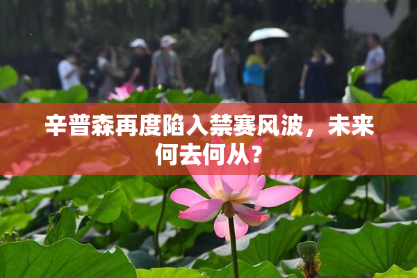 辛普森再度陷入禁赛风波，未来何去何从？