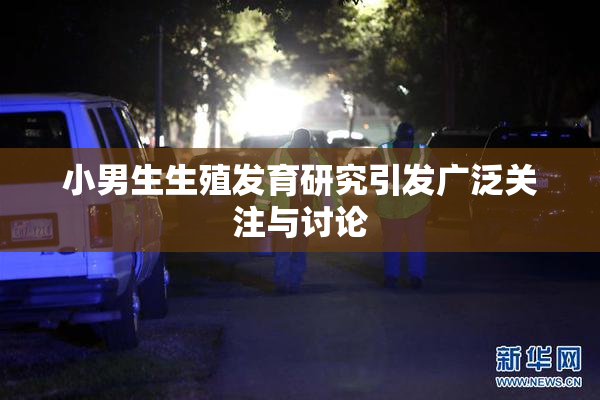 小男生生殖发育研究引发广泛关注与讨论