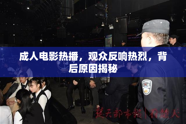 成人电影热播，观众反响热烈，背后原因揭秘