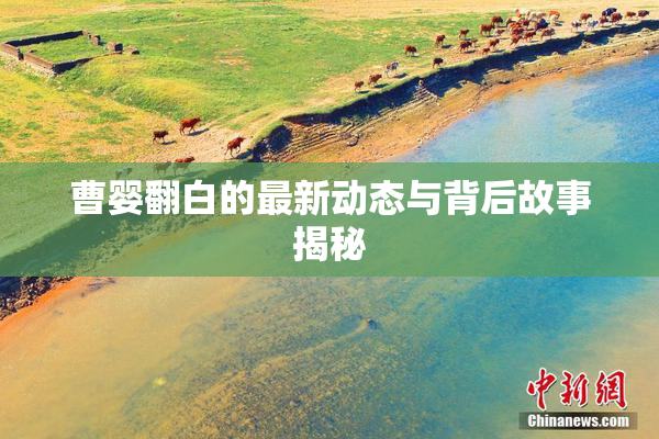 曹婴翻白的最新动态与背后故事揭秘