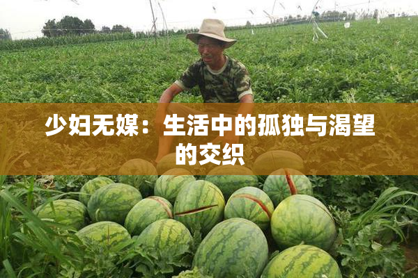 少妇无媒：生活中的孤独与渴望的交织
