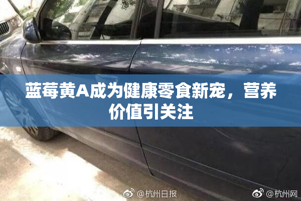 蓝莓黄A成为健康零食新宠，营养价值引关注