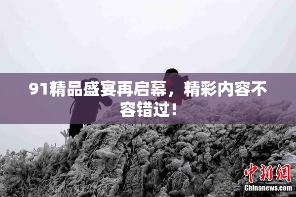 91精品盛宴再启幕，精彩内容不容错过！