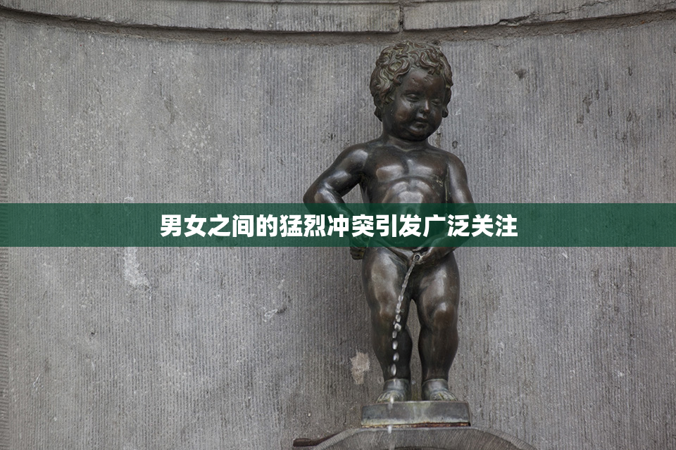 男女之间的猛烈冲突引发广泛关注