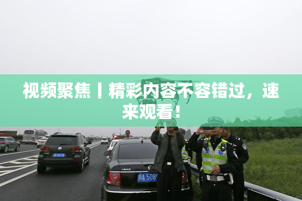 视频聚焦丨精彩内容不容错过，速来观看！