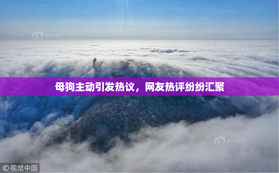 母狗主动引发热议，网友热评纷纷汇聚