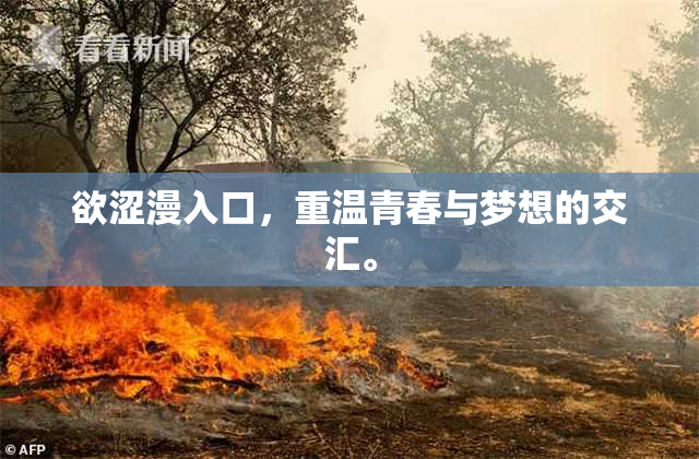 欲涩漫入口，重温青春与梦想的交汇。