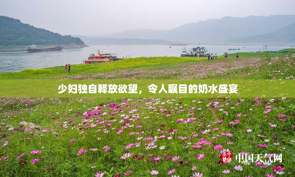 少妇独自释放欲望，令人瞩目的奶水盛宴