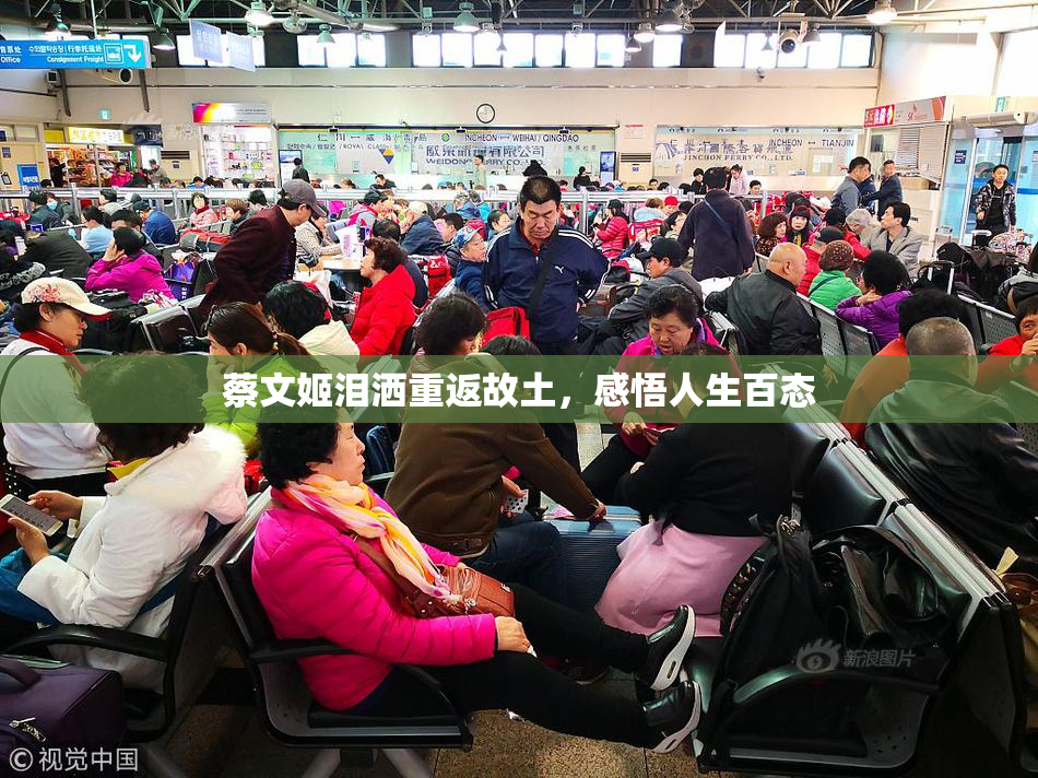 蔡文姬泪洒重返故土，感悟人生百态