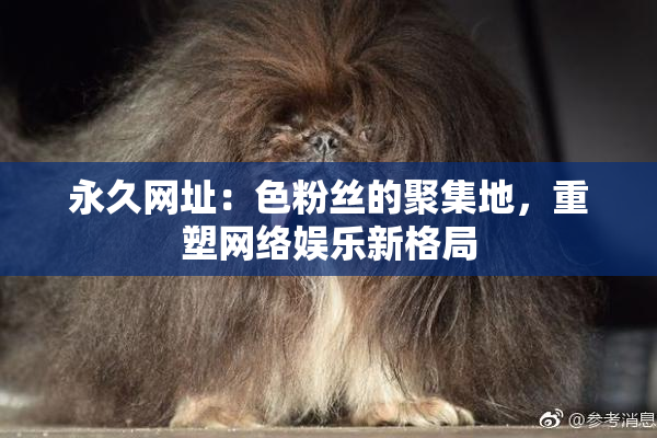 永久网址：色粉丝的聚集地，重塑网络娱乐新格局