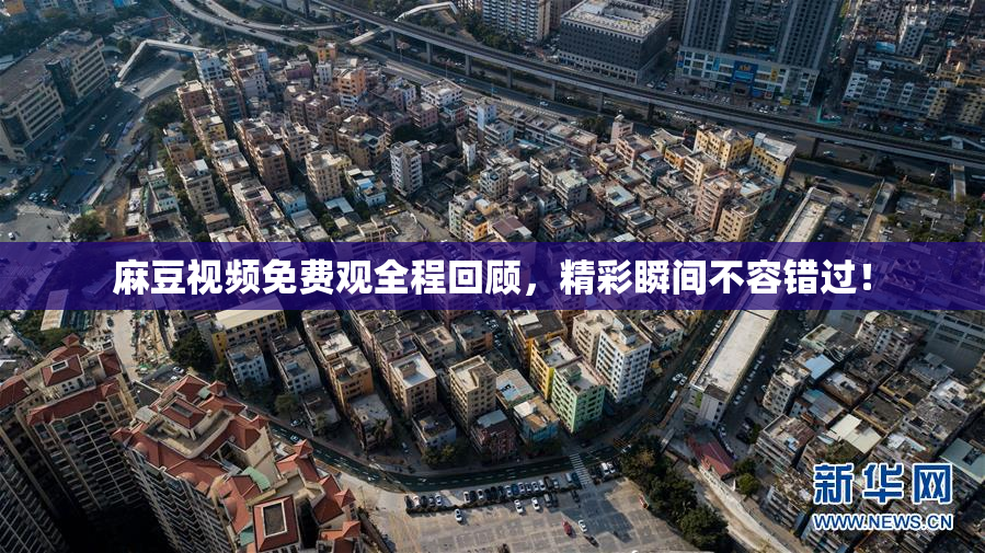 麻豆视频免费观全程回顾，精彩瞬间不容错过！
