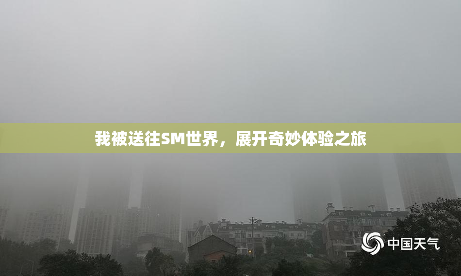 我被送往SM世界，展开奇妙体验之旅