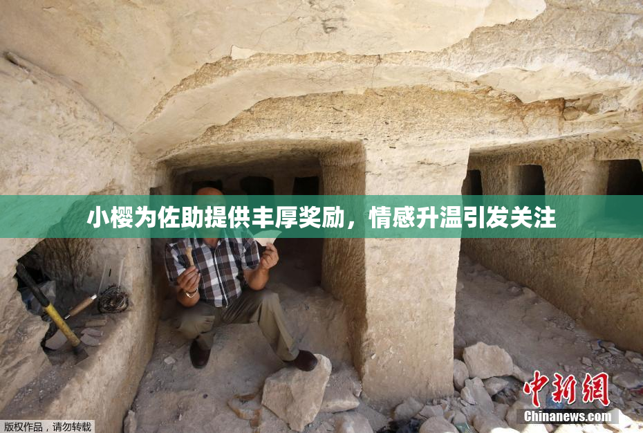 小樱为佐助提供丰厚奖励，情感升温引发关注