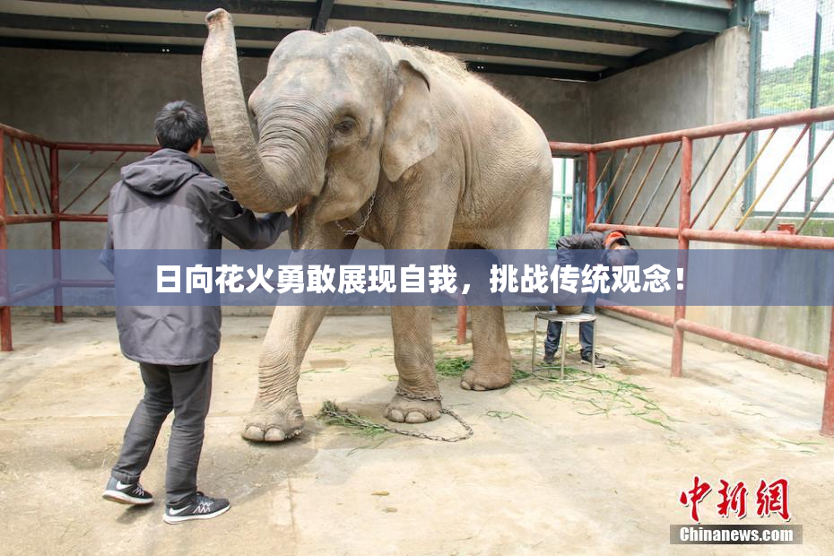 日向花火勇敢展现自我，挑战传统观念！