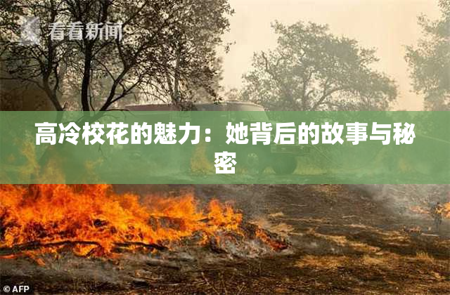 高冷校花的魅力：她背后的故事与秘密