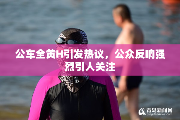 公车全黄H引发热议，公众反响强烈引人关注