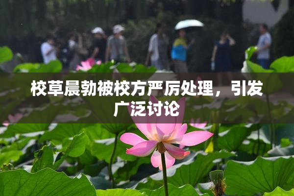 校草晨勃被校方严厉处理，引发广泛讨论