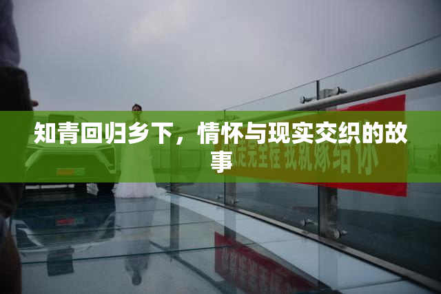 知青回归乡下，情怀与现实交织的故事