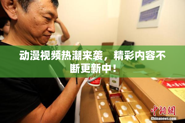 动漫视频热潮来袭，精彩内容不断更新中！