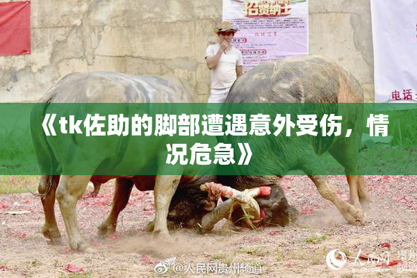 《tk佐助的脚部遭遇意外受伤，情况危急》