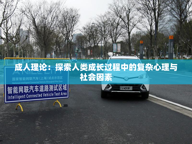成人理论：探索人类成长过程中的复杂心理与社会因素