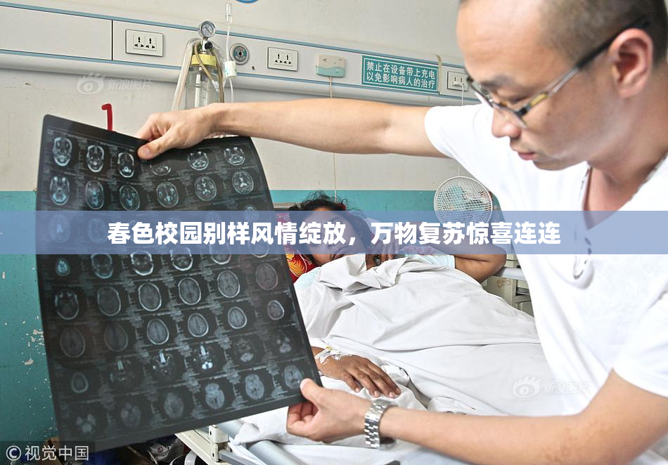 春色校园别样风情绽放，万物复苏惊喜连连