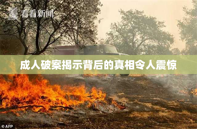 成人破案揭示背后的真相令人震惊