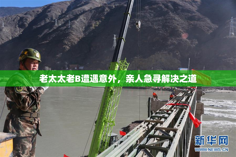 老太太老B遭遇意外，亲人急寻解决之道