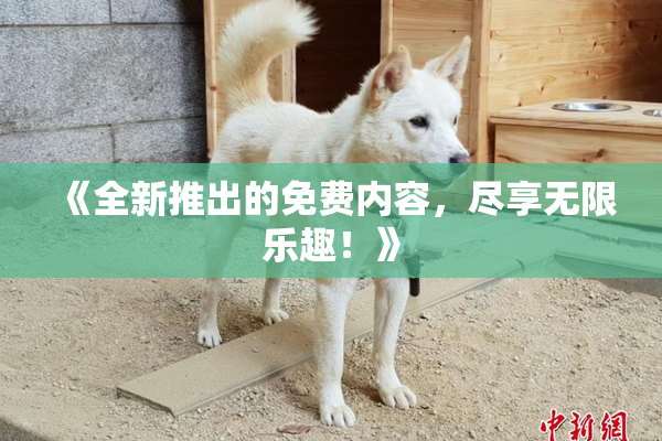 《全新推出的免费内容，尽享无限乐趣！》