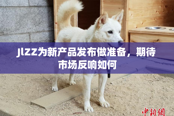 JlZZ为新产品发布做准备，期待市场反响如何
